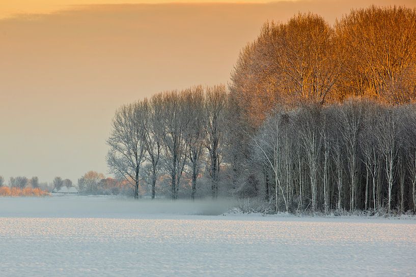 Sneeuwlandschap in Nederland van Andy Van Tilborg