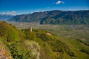 Blick von Hocheppan in Südtirol