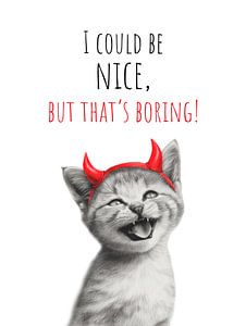 Cool Cat - Little Devil