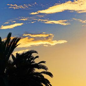 Sunset Palmtree Spain van Arianor Photography