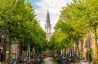 Zuiderkerk Amsterdam tussen bomen van Sjoerd Tullenaar thumbnail