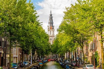 Zuiderkerk Amsterdam tussen bomen