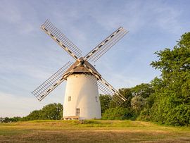 Moulin Egelsberg à Krefeld sur Michael Valjak