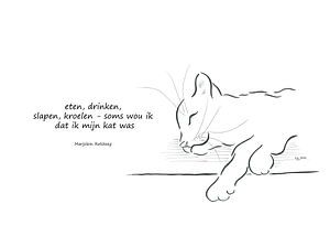 I wish I was my cat Haiku Holländisch