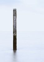 Poller im Meer