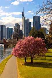 Frankfurt am Main, Blick von der Ignaz-Bubis-Brücke von Thomas Rieger