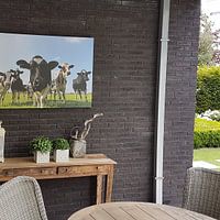 Kundenfoto: Gruppe von Kühen auf einer Wiese, die in die Linse schauen. von Sjoerd van der Wal, auf leinwand