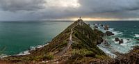 De Vuurtoren van het Nuggetpunt, NZ, Nieuw Zeeland