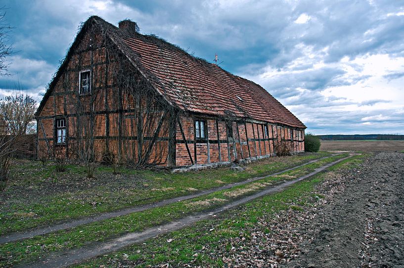 Abandoned barn in the fairytale Oderbruch region by Silva Wischeropp