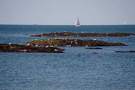 Coast Piriac- sure -Mer Brittany by wil spijker