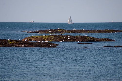 Kust Piriac- sure -Mer Bretagne