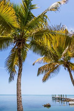 FLORIDA KEYS Paradiesisch von Melanie Viola