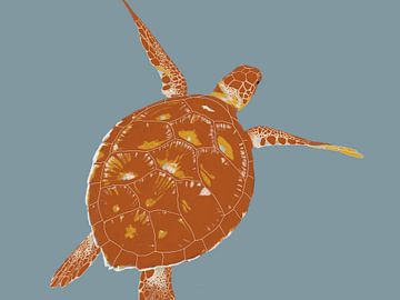 Zee schildpad van Studio Carper