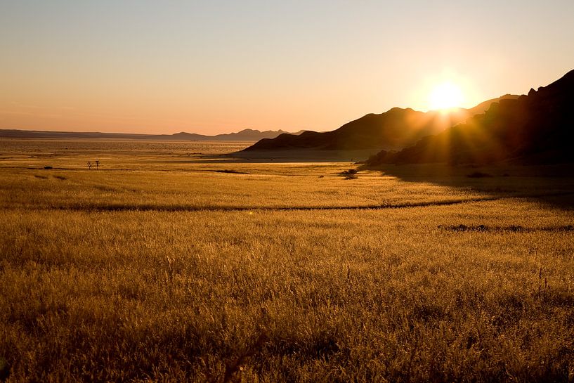 Sunrise over the Namib Naukluft Park by Angelika Stern