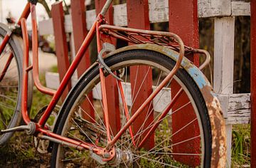 Een roestig fietswiel van Brave Toaster Photos