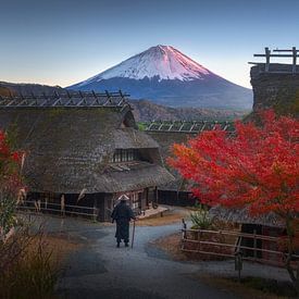 Monk met Mount Fuji van Albert Dros