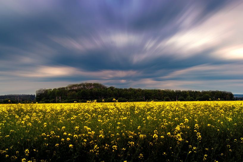 Yellow field van Photoart-Naegele