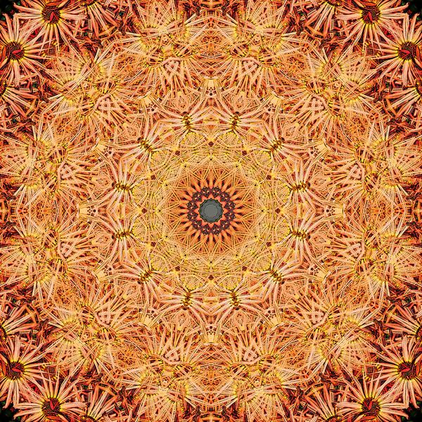 Place de l&#039;Étoile by Frans Blok - photos, art and other wall decoration