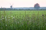 Silhouette Noordermolen moulin par Volt Aperçu