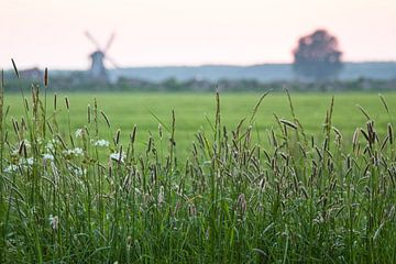 Silhouette Noordermolen Windmühle von Volt