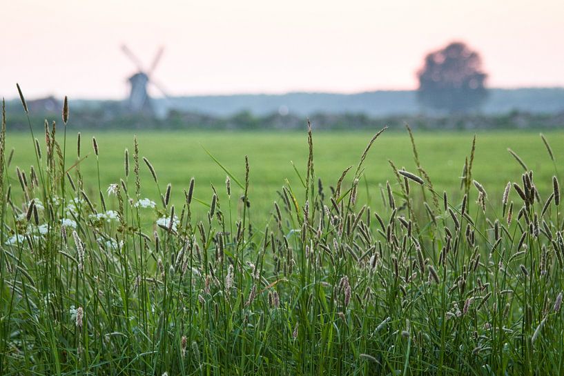 Silhouette Noordermolen moulin par Volt