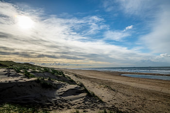 Dünenlandschaft an der Küste von Noordwijk
