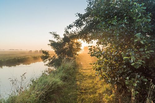Zonsopkomst met Mist
