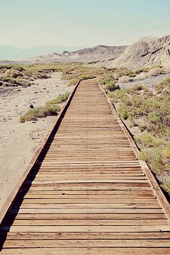 Death Valley Walk