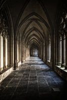 Der Pandhof der Domkirche in Utrecht (2)