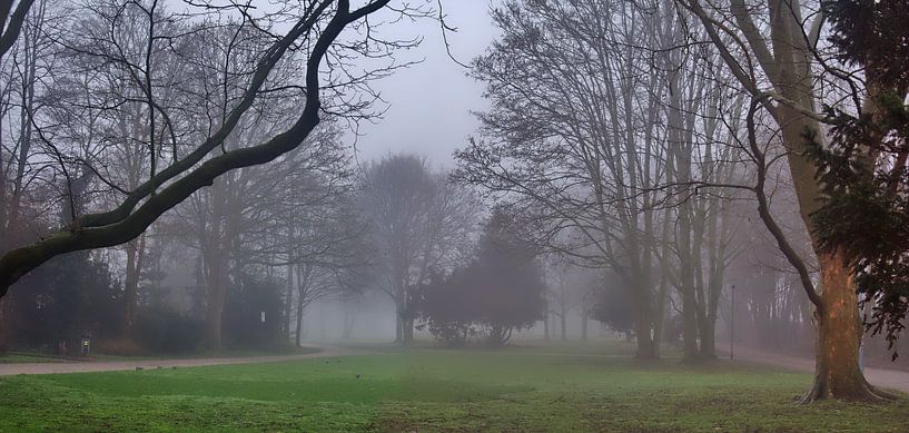 Mist panorama 6 van Edgar Schermaul