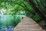Nationalpark Plitvicer Seen, Kroatien by Renate Knapp thumbnail