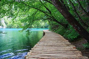 Nationalpark Plitvicer Seen, Kroatien