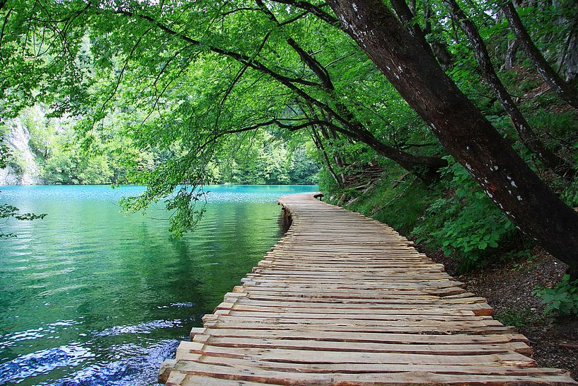 Nationalpark Plitvicer Seen, Kroatien by Renate Knapp