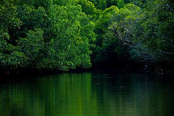 Grüne Stille entlang des Flusses von Marco Leeggangers