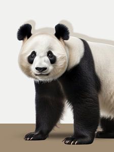 une vie de panda sur Marja van den Hurk