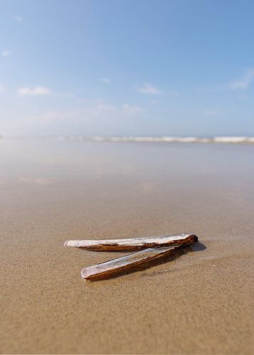 Lames de rasoir dans le surf à Terschelling