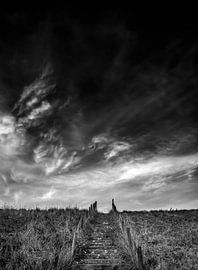 The stairs to... by adriaan de waele