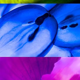 Abstract werk van fruit en groenten (6 foto's in één werk) van Elsemiek Deug