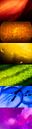 Abstract werk van fruit en groenten (6 foto's in één werk) van Elsemiek Deug thumbnail