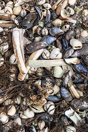 Beach life by Foto A de Jong