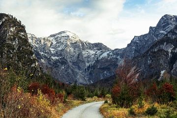 Herfstig Oostenrijks berglandschap