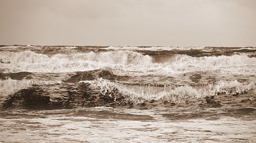 Der Atem der wilden See