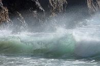 Beautiful wave by Barbara Brolsma thumbnail
