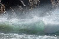 Beautiful wave