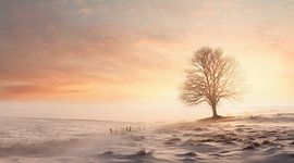 Goldene Stunde im Winter