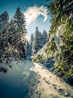 Neuschnee bei Sonnenschein