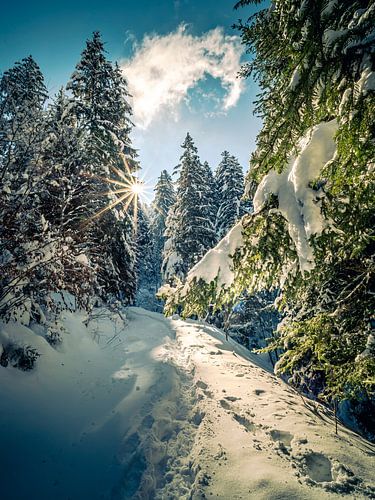Verse sneeuw met zonneschijn