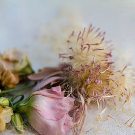 wilted flowerds by Kas Maessen