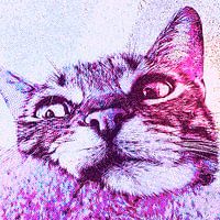 Portret van een kat, close up - Pop Art