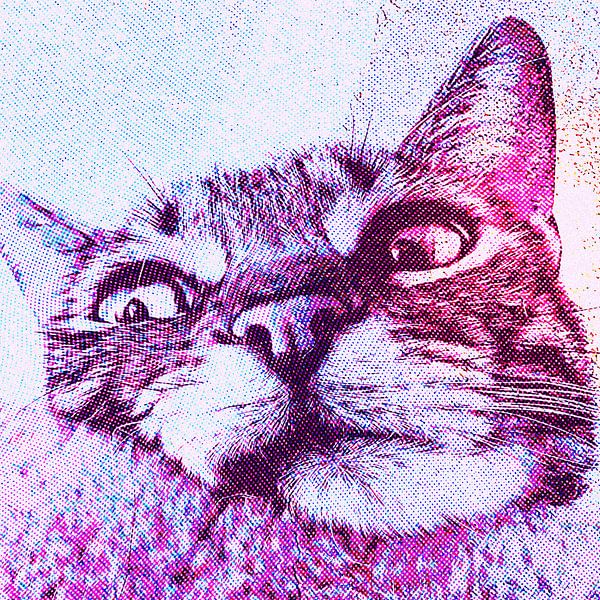 Portrait of a cat, close up - Pop Art by SprayCat